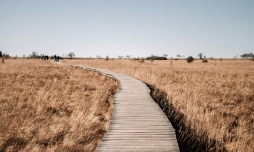 Já Se Perguntou Sobre Seu Caminho? Uma Reflexão Poética Sobre Autoconhecimento